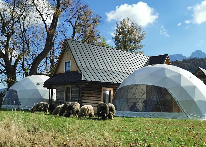 Glamp Siedlisko Koscielisko