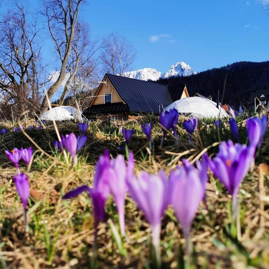 Glamp Siedlisko Luxuszelt Kościelisko